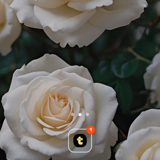 creator Valvette Vadrieze's avatar