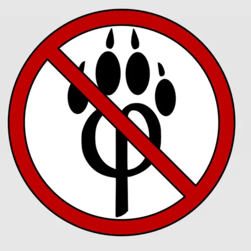 creator max開啟時開始前's avatar