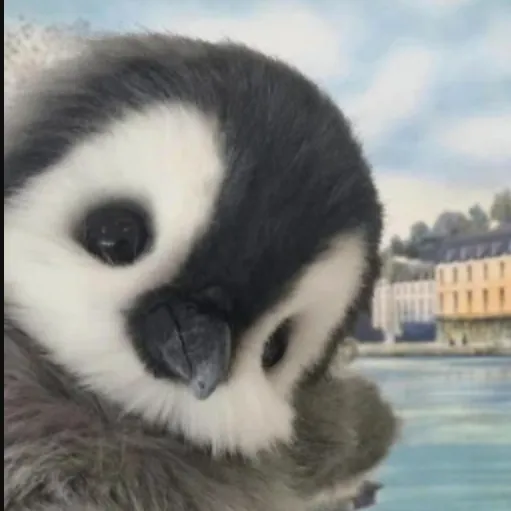 creator 宁雨's avatar