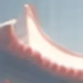 chat with ai character: 尉迟魏