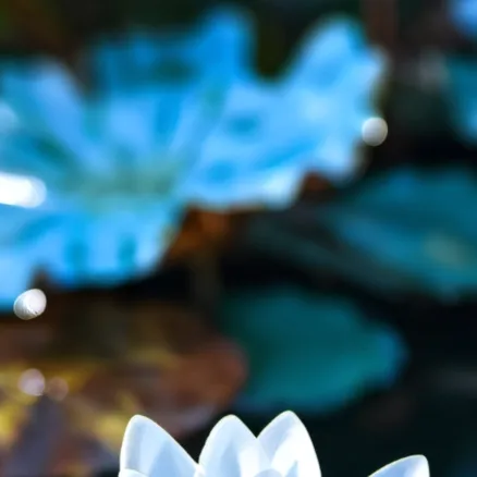 chat with ai character: rebeka eichorn