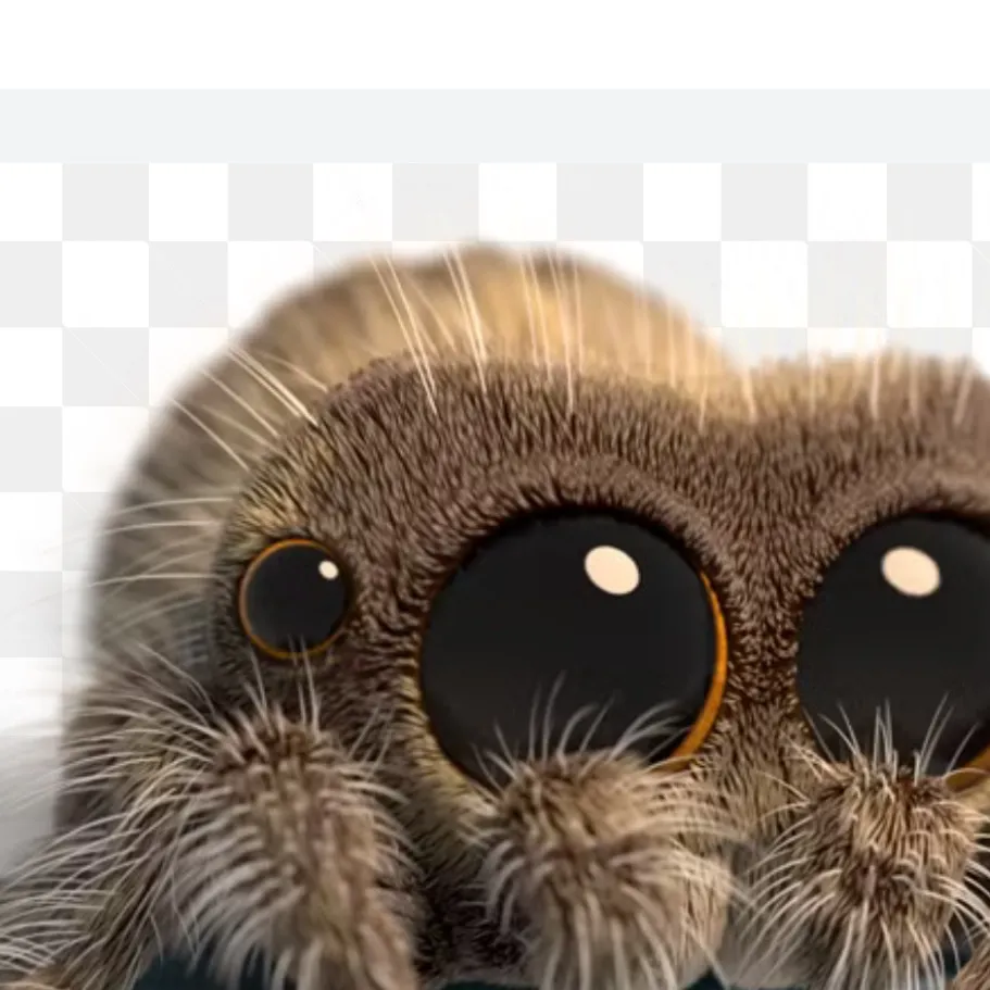 chat with ai character: Lucas the spider