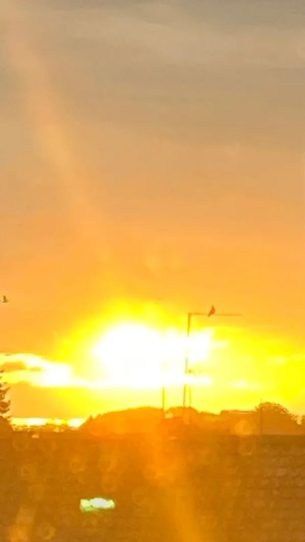 ai character: Mha beach<3 background