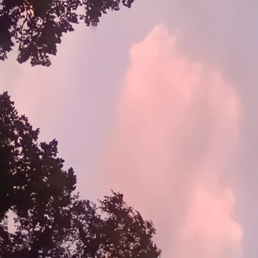 creator 🍭🍡🍥Multi_Fandom🍭🍡🍥's avatar