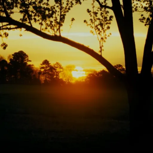 creator ❤✨HP + KOTLC✨❤ ALT's avatar