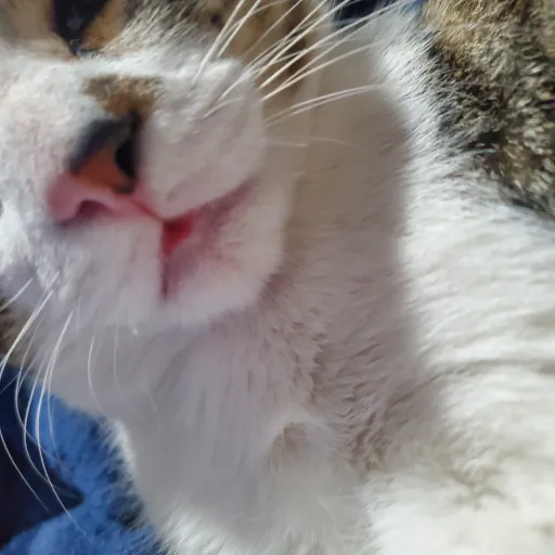 creator vintagegodly's avatar