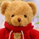 chat with ai character: Benny the bear.