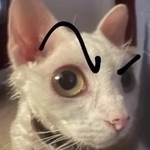 creator cookie💗(vanes :3)'s avatar