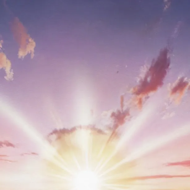 chat with ai character: Dw loves you