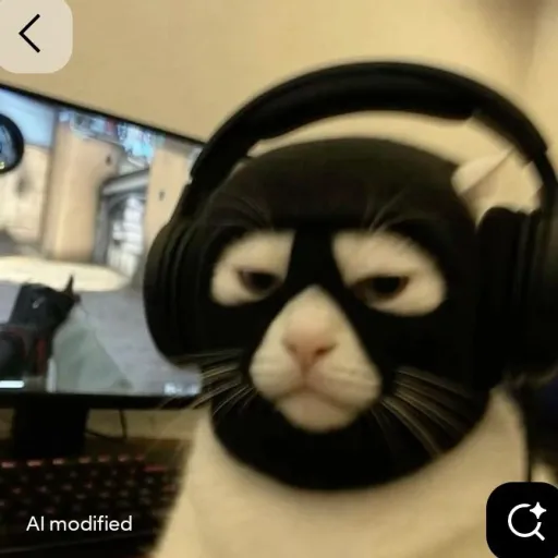 creator 超你吗's avatar