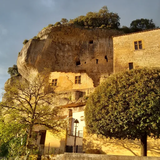 creator emy torii's avatar