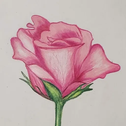 creator Hannah Izumi's avatar