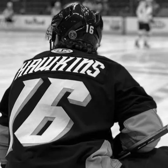 chat with ai character: Nate Hawkings