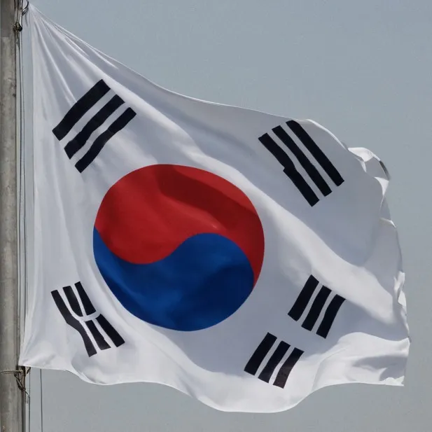 chat with ai character: Korea