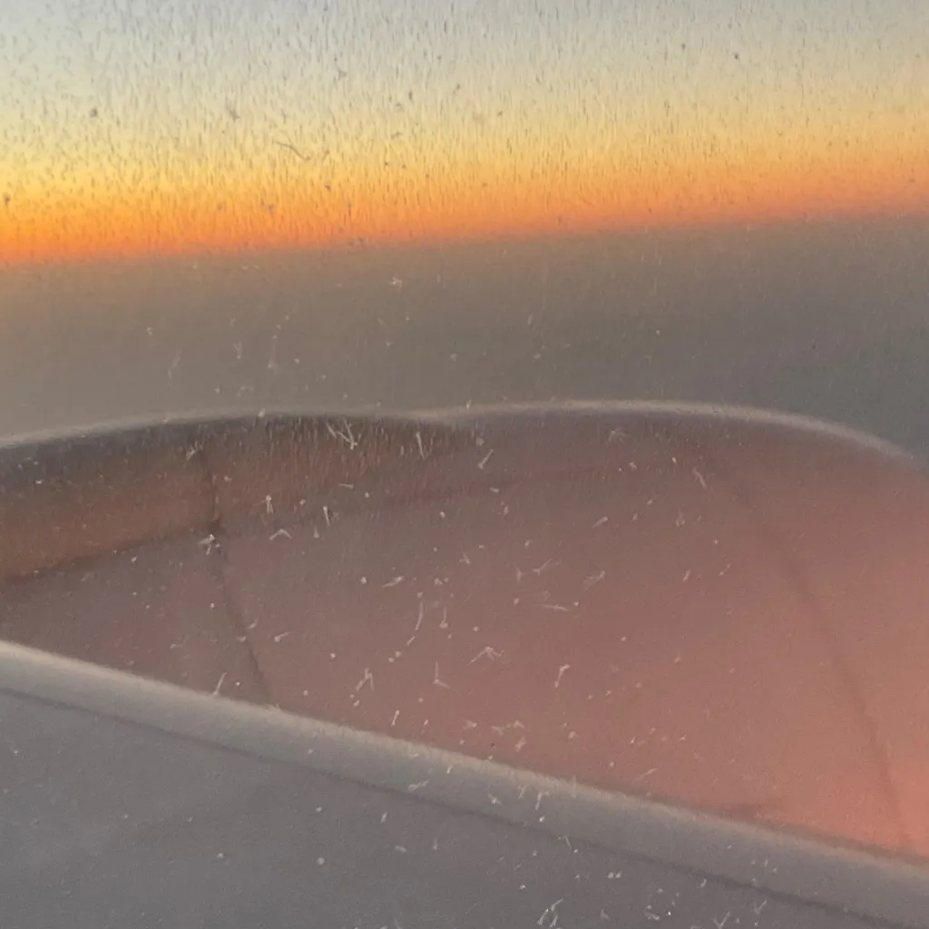 chat with ai character: Elijah