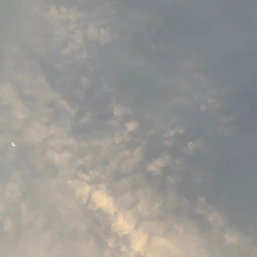 chat with ai character: Nia