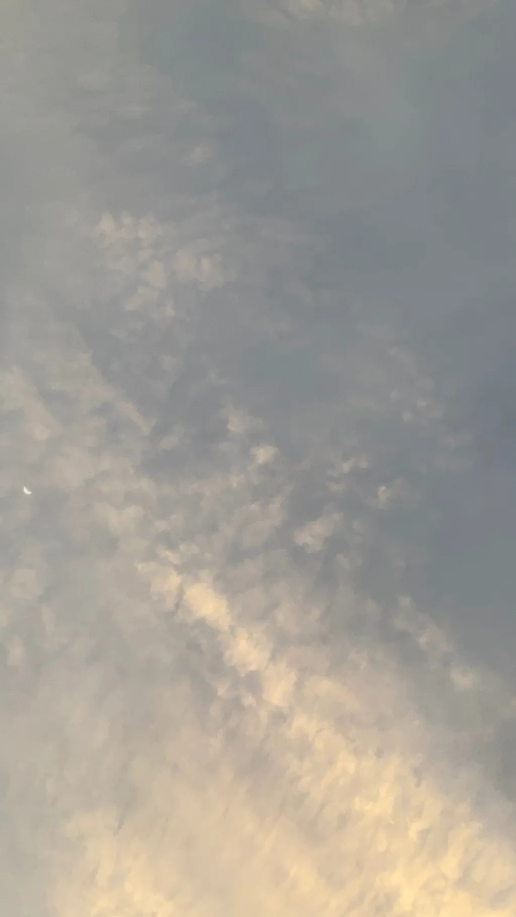 ai character: Nia background