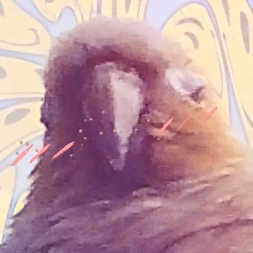 creator xxxbloop's avatar