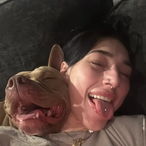 talkie's author avatar