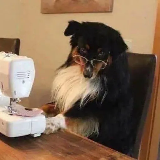 creator Talkior-aevGFNiq's avatar