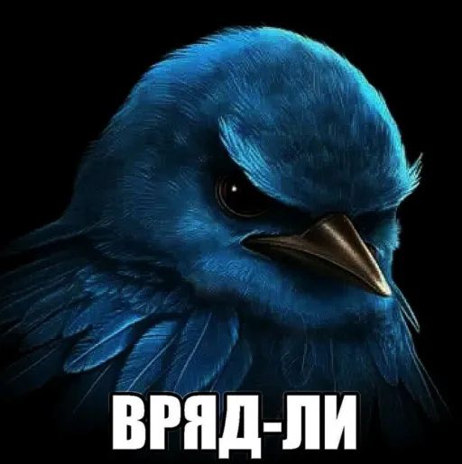 creator вряд ли's avatar