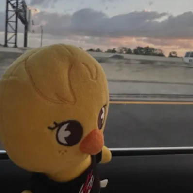 creator Rae_{stay}'s avatar