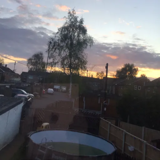 creator Bailey-Ray Searle's avatar