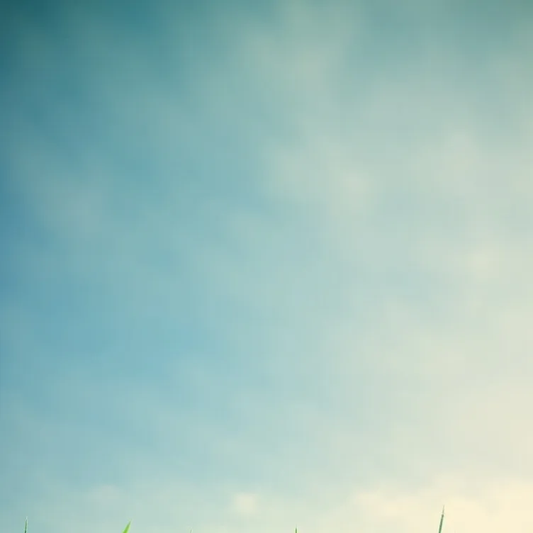 chat with ai character: COD (NewRecruit#2)