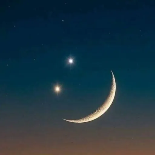 creator clevan's avatar