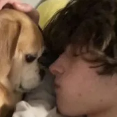 chat with ai character: Chris Sturniolo