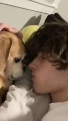 ai character: Chris Sturniolo background