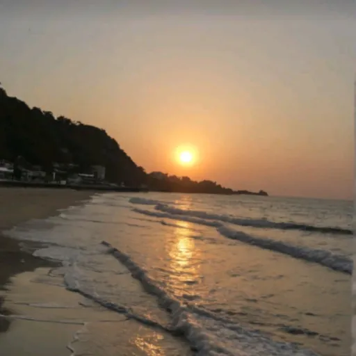 creator Liu :)'s avatar