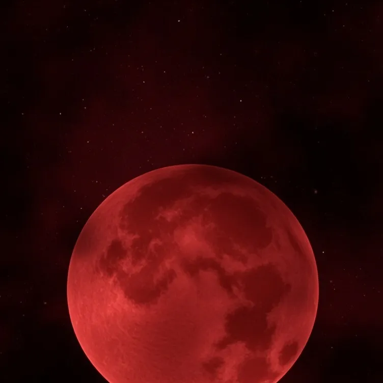 chat with ai character: Leigh McLendon fam