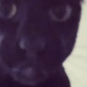 chat with ai character: COD Road mission