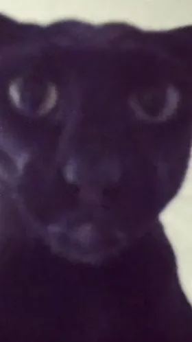 ai character: COD Road mission background