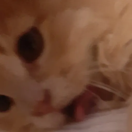 creator GORILLAZ4EVER ^o^'s avatar