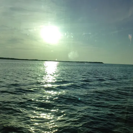 creator ex luna's avatar