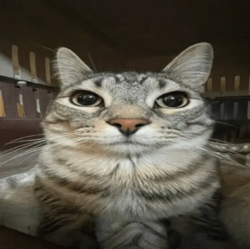 creator ◇~{Hopeless.}~☆'s avatar