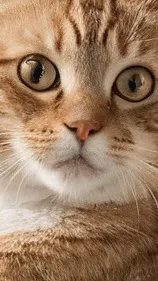 ai character: ermmmmmmmmmmmmmmm background