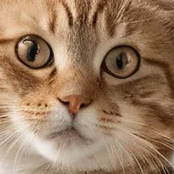 chat with ai character: ermmmmmmmmmmmmmmm