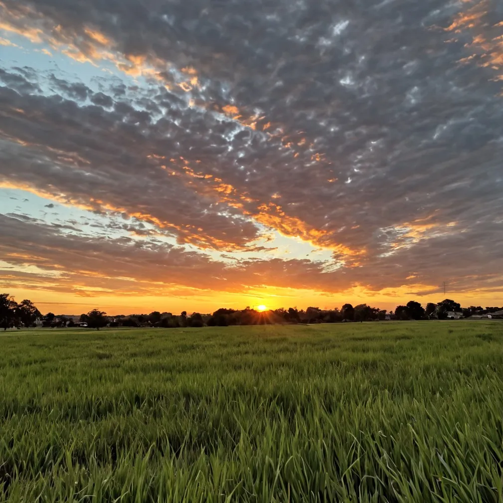 chat with ai character: Grass fields 