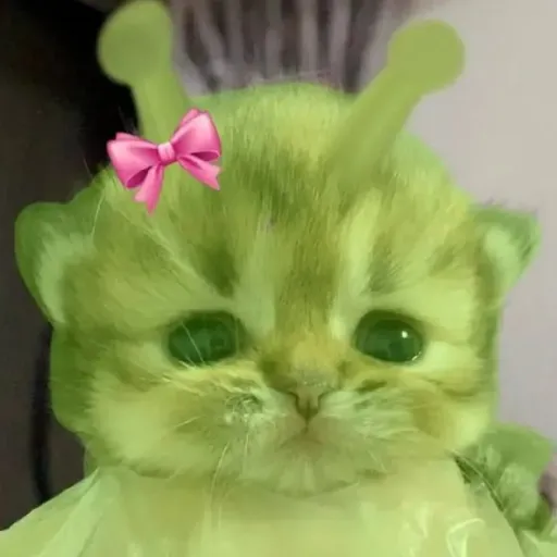 creator star1120's avatar