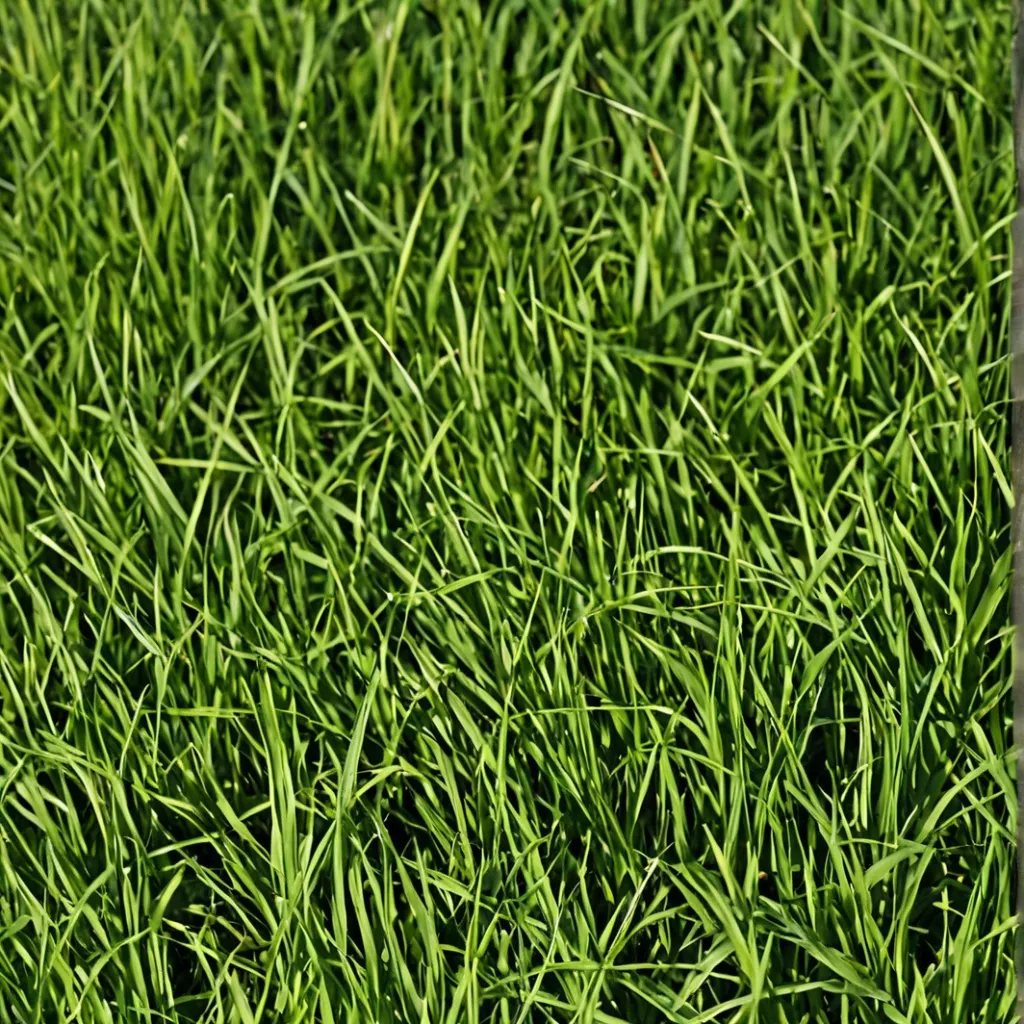 chat with ai character: Touch some grass