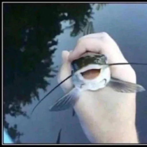 creator Zoxy✨'s avatar