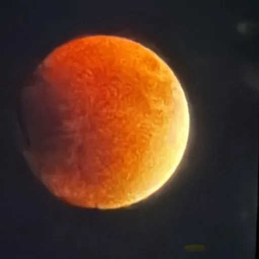 creator wendiz's avatar