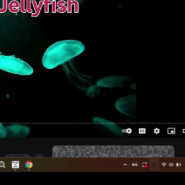 chat with ai character: GREEN JELLYFISH