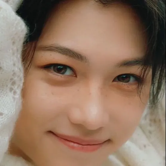 chat with ai character: Felix(Lee Felix)🐥