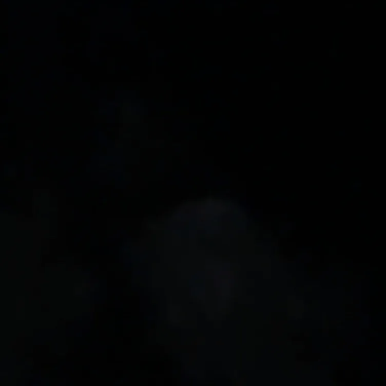 chat with ai character: Tom&bill