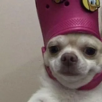 creator •_• Janna •_•'s avatar