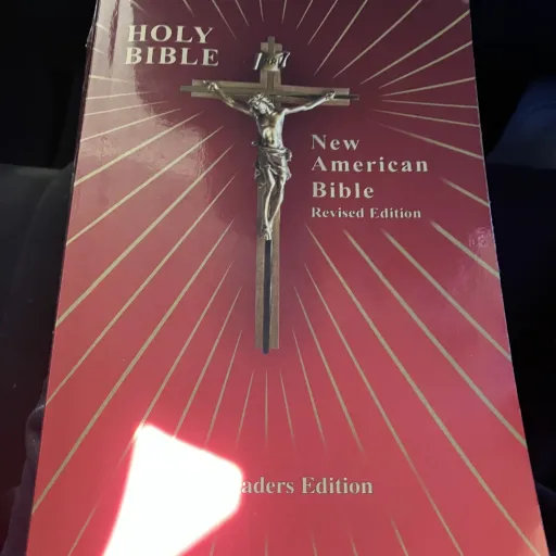 creator @chainsaw/one piec's avatar